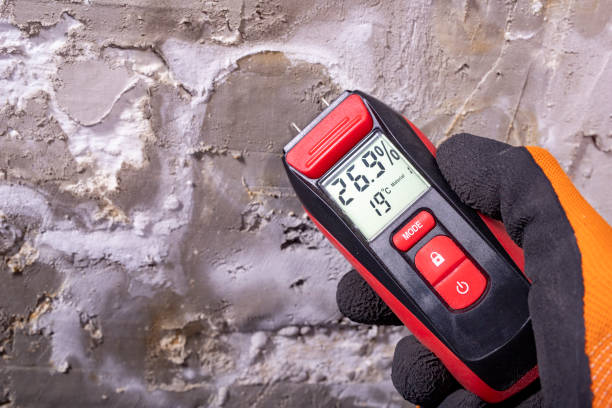 Best Crawl Space Mold Removal  in Glendora, NJ
